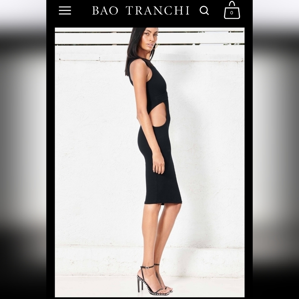 Bao Tranchi NWTs The Crescent Dress - Picture 3 of 10